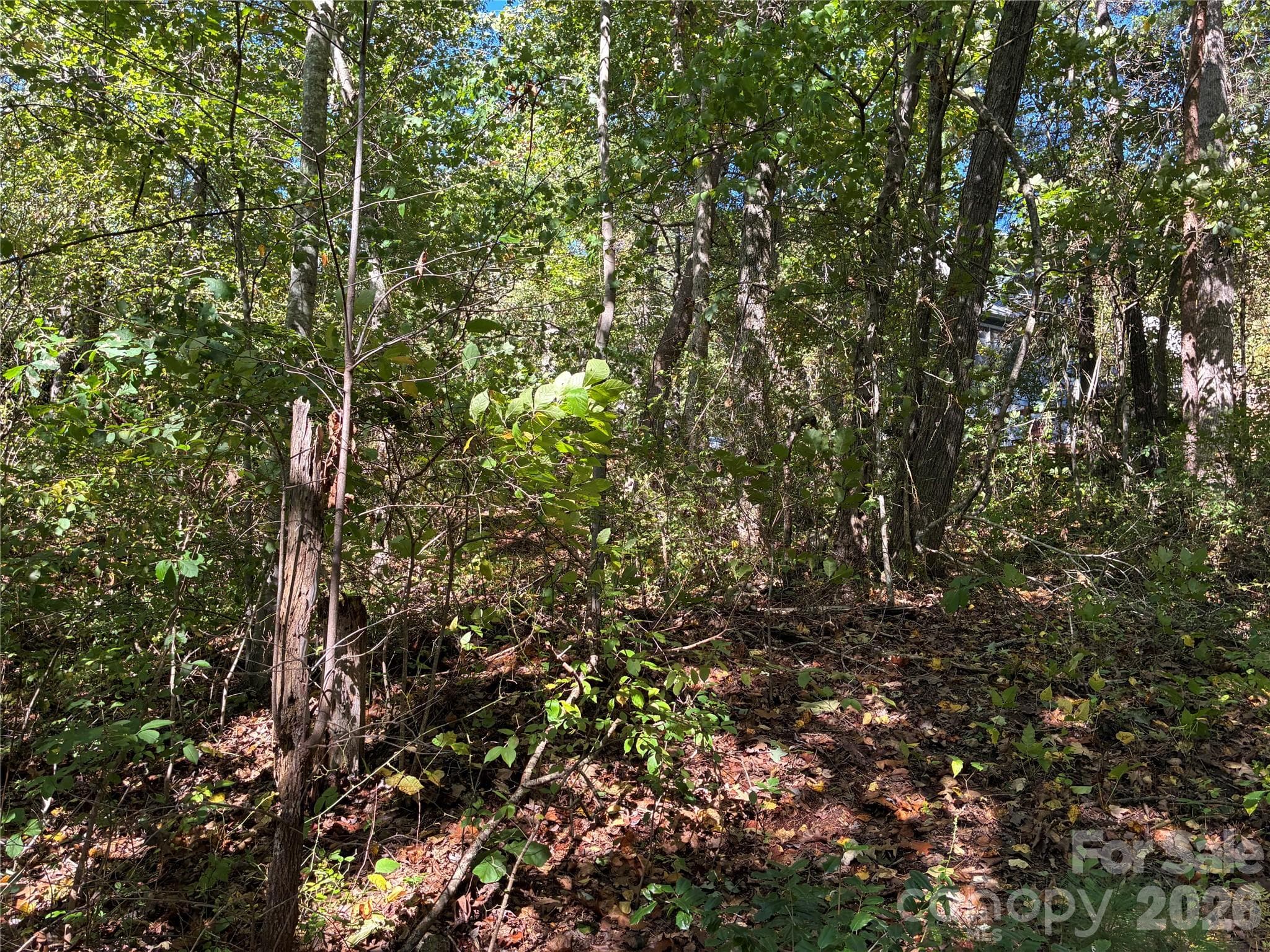 Lot at 99999 Cliffview Drive, Asheville, photo 11 of 18