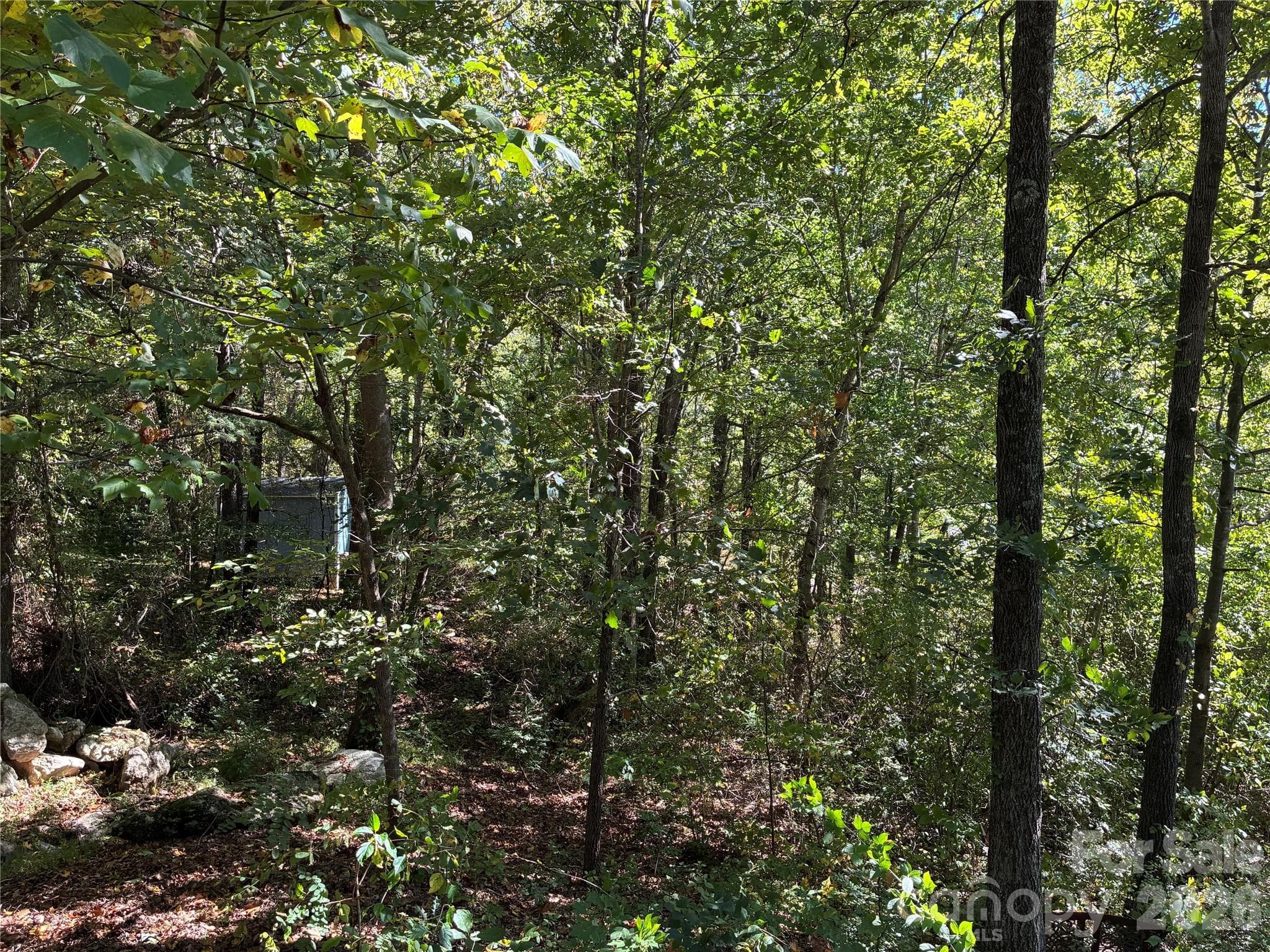 Lot at 99999 Cliffview Drive, Asheville, photo 13 of 18