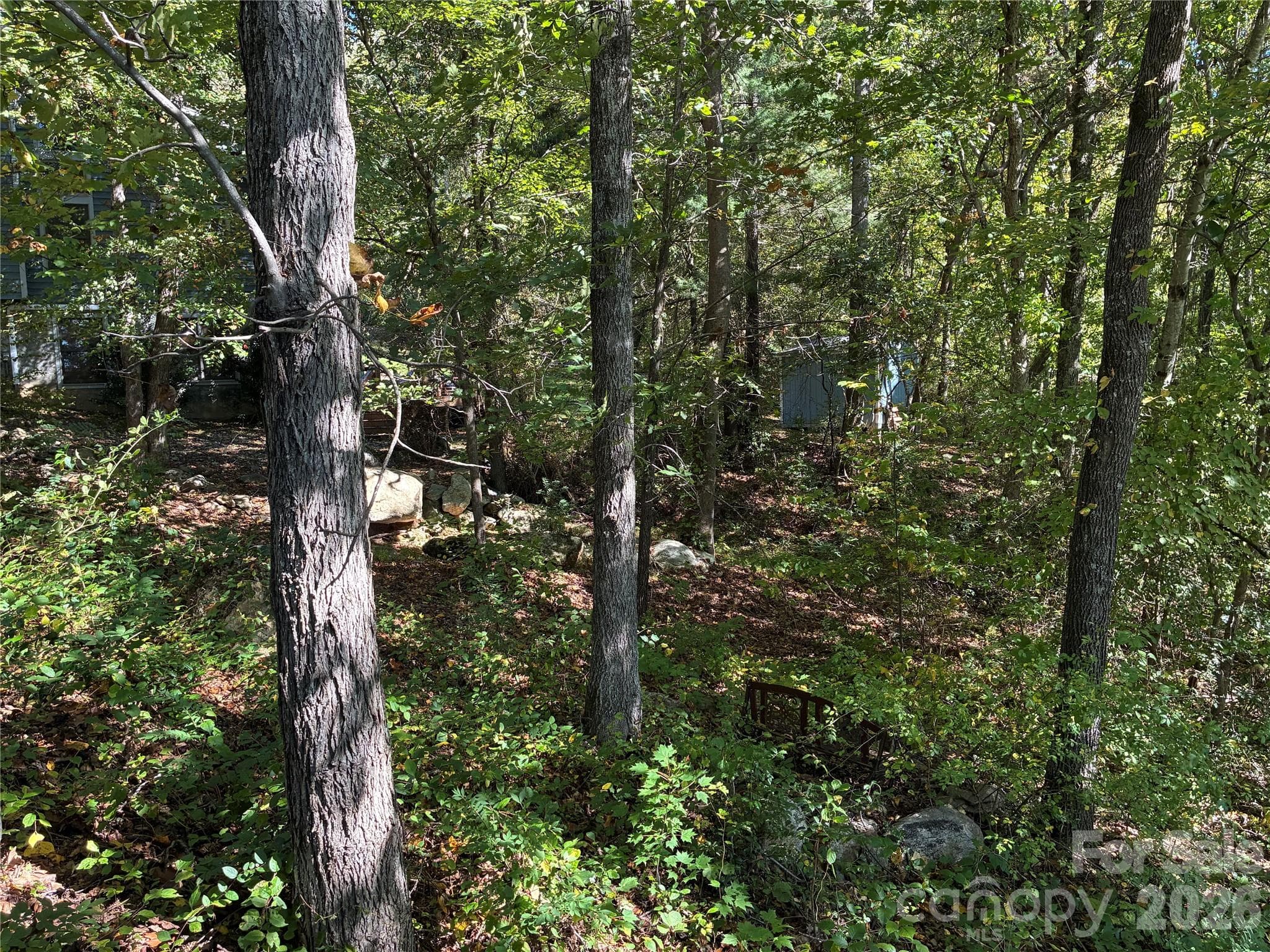 Lot at 99999 Cliffview Drive, Asheville, photo 14 of 18
