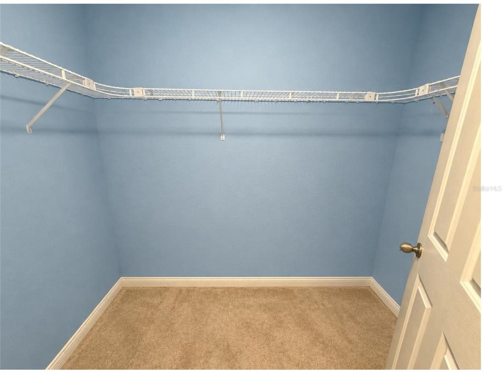 Walk in closet 1 - 1301 COLSON RD, PLANT CITY