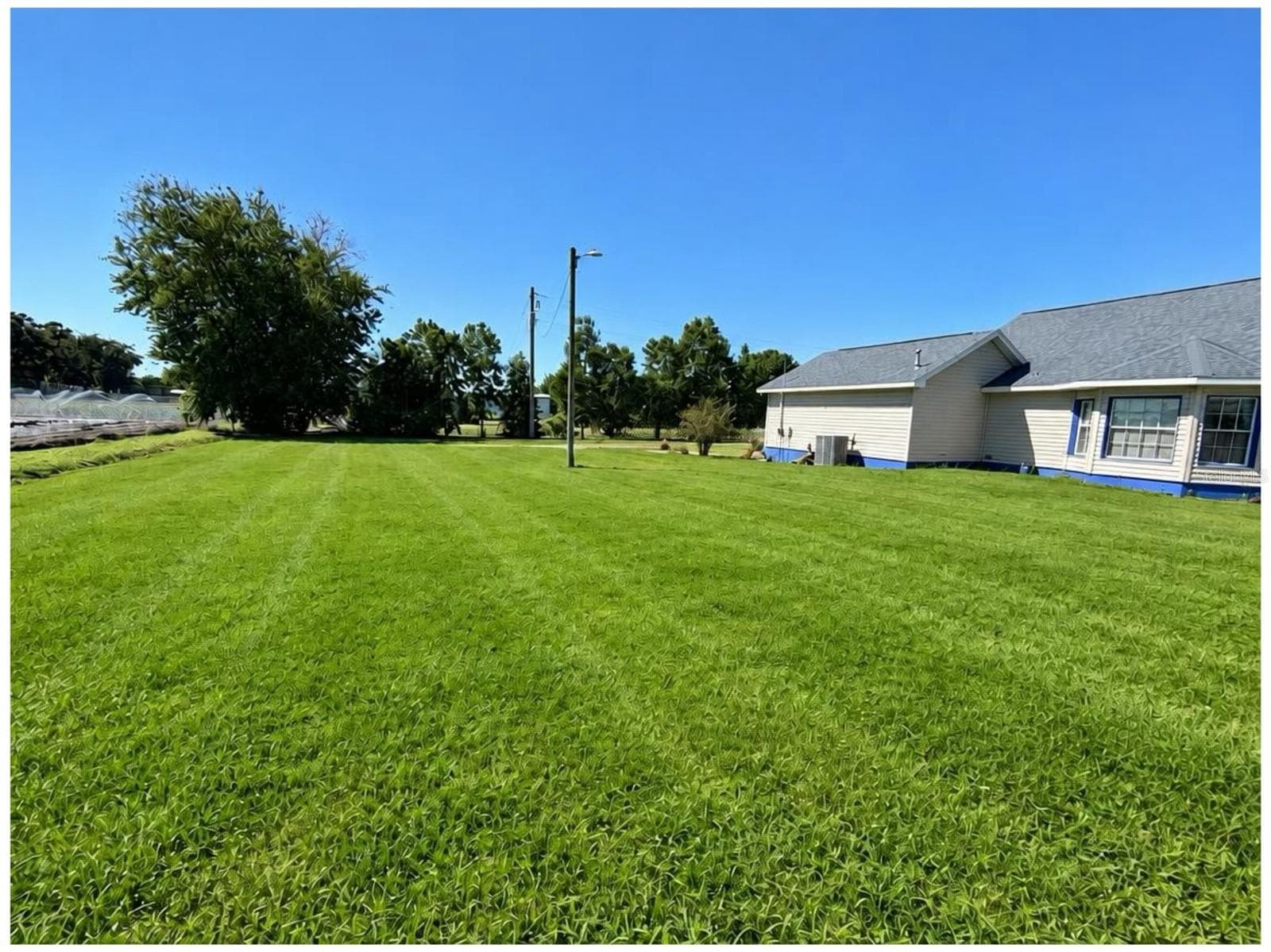Backyard - 1301 COLSON RD, PLANT CITY