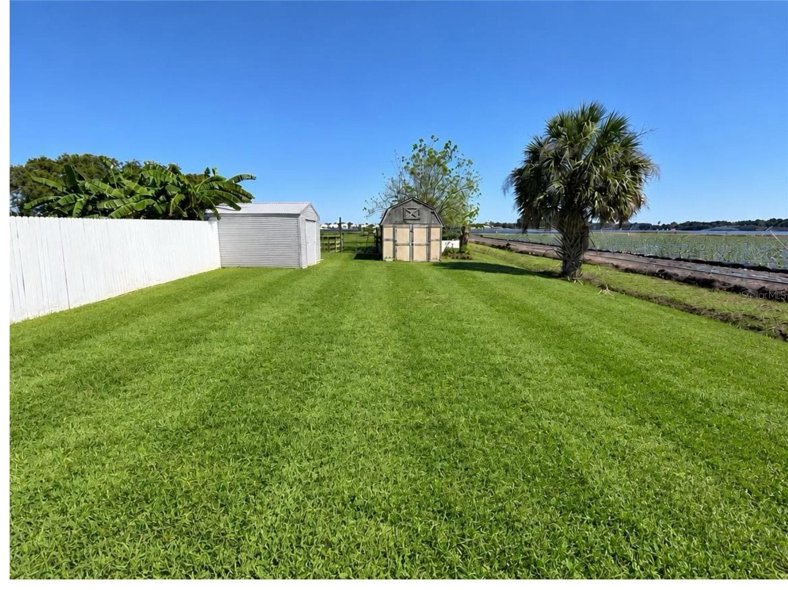 Backyard/Sheds - 1301 COLSON RD, PLANT CITY