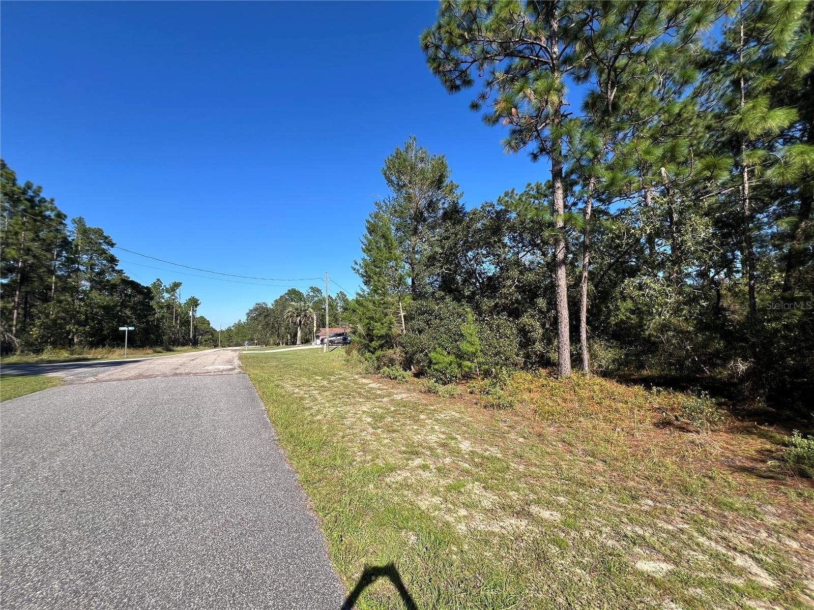 Land at 4098 W THRUSH DR, CITRUS SPRINGS, photo 2 of 12