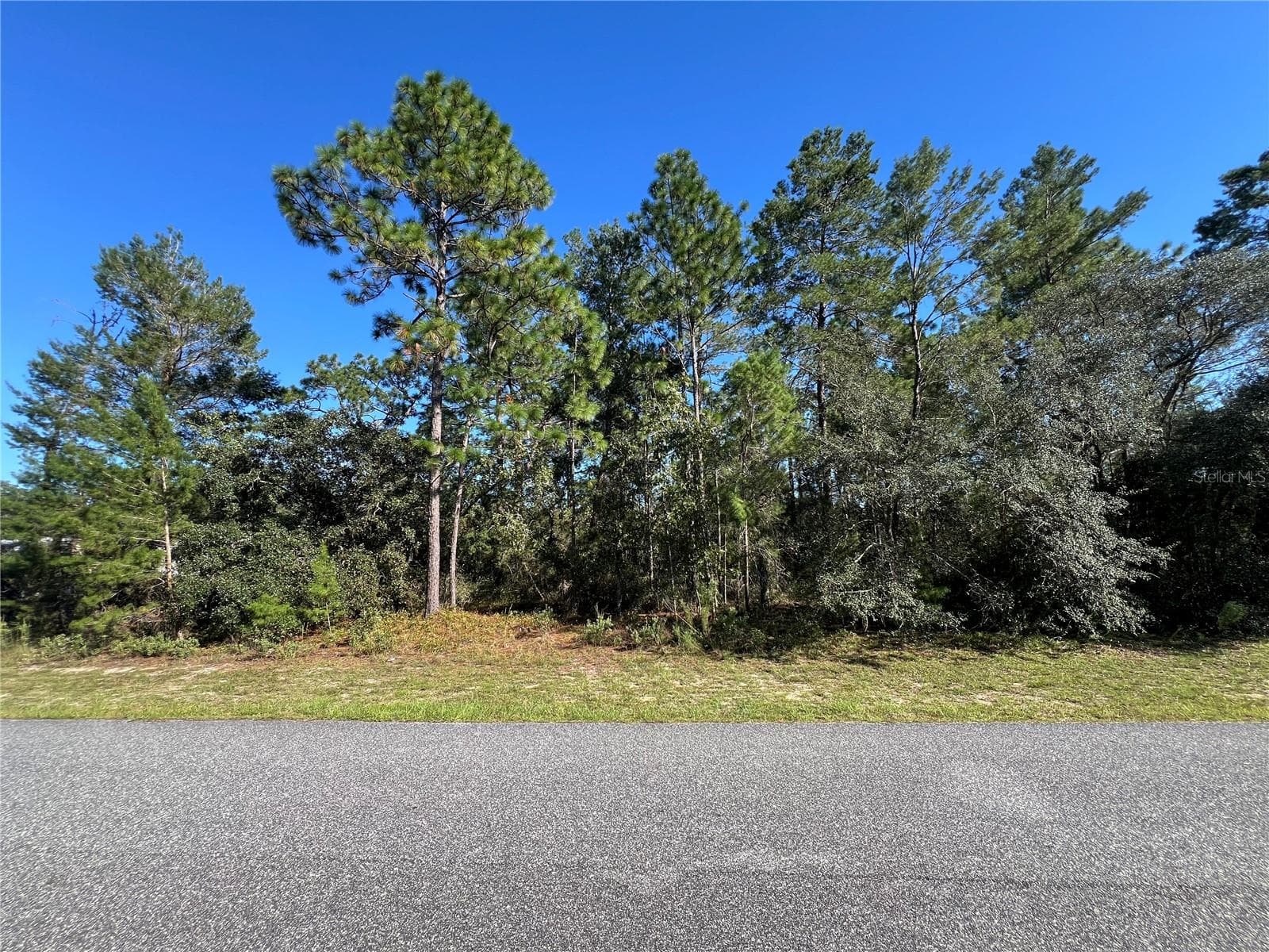 Land at 4098 W THRUSH DR, CITRUS SPRINGS, photo 3 of 12