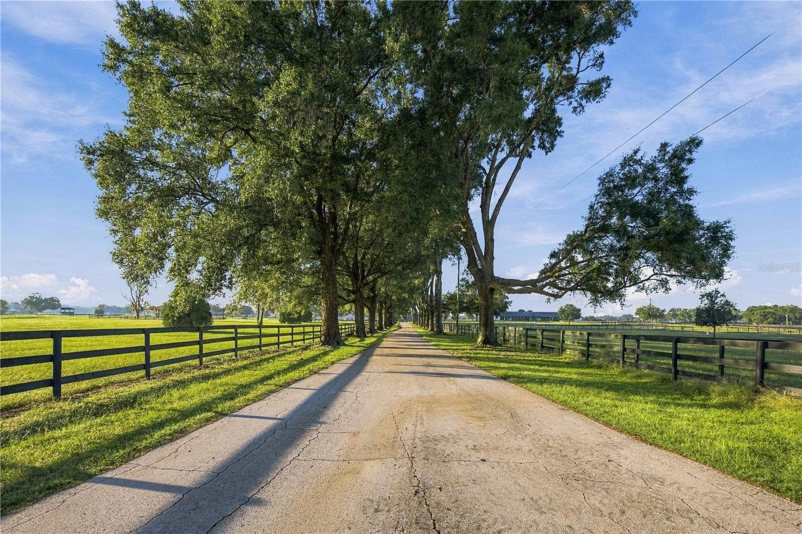 Farm at 12330 NW 35TH ST NW, OCALA, photo 85 of 90