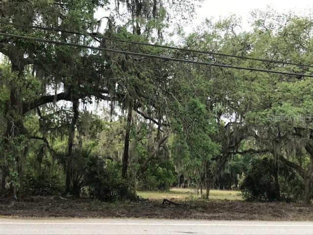 Land at 13055 MORRIS BRIDGE RD, THONOTOSASSA, photo 3 of 11