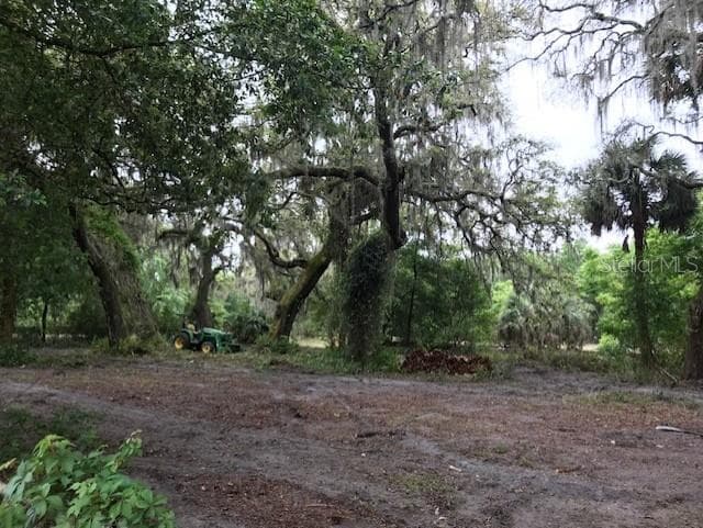 Land at 13055 MORRIS BRIDGE RD, THONOTOSASSA, photo 5 of 11