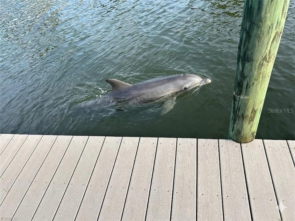 Watch the dolphins swim by - 912 SW 48TH TER #208, CAPE CORAL