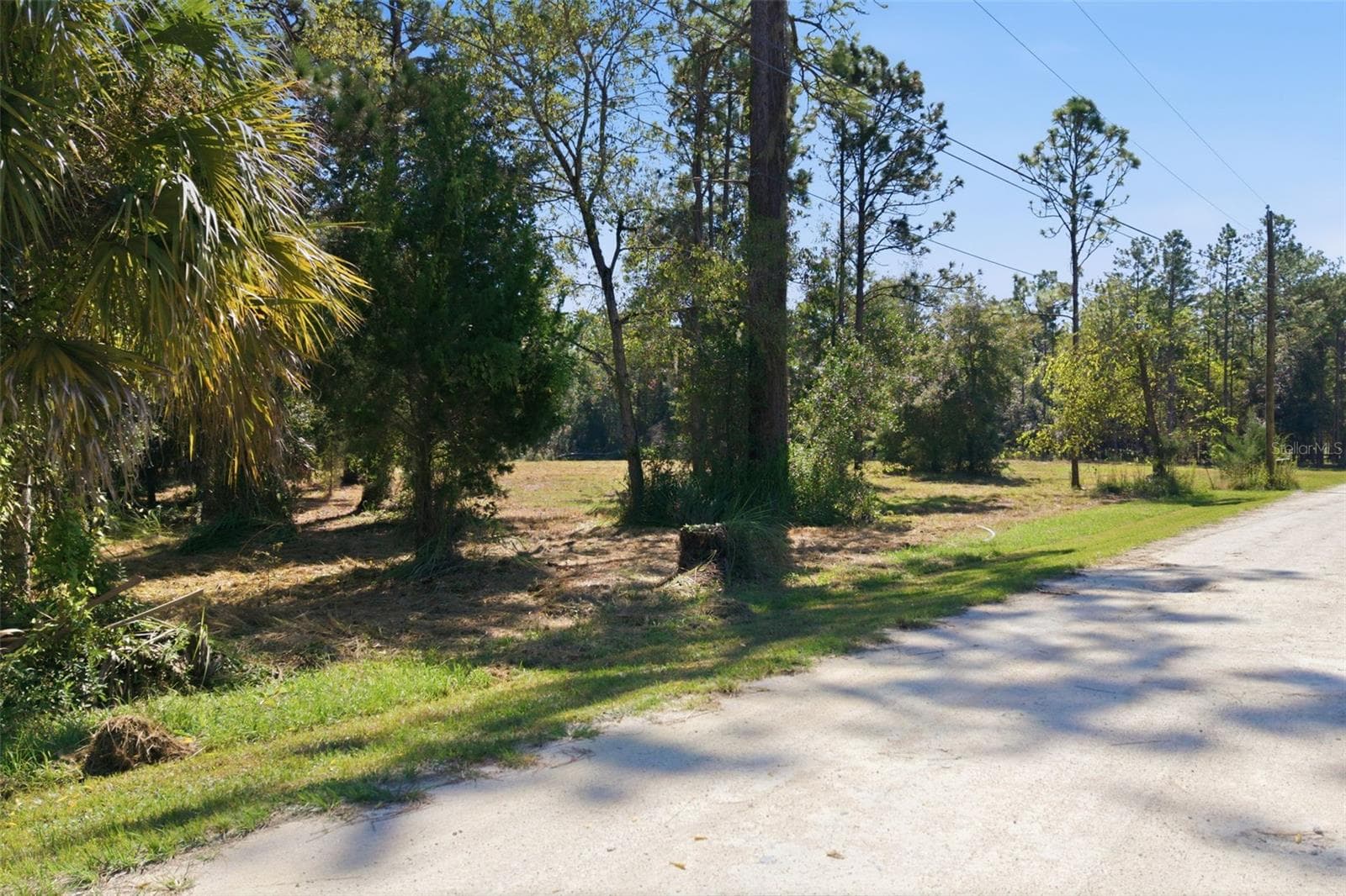 Land at 14356 HIGHGROVE RD, SPRING HILL, photo 27 of 48