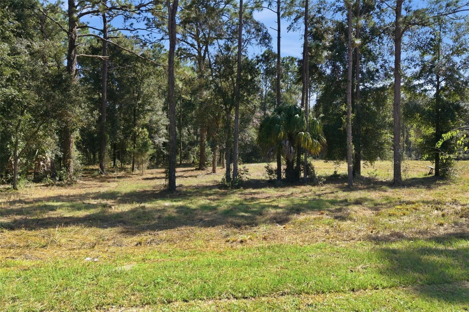 Land at 14356 HIGHGROVE RD, SPRING HILL, photo 28 of 48