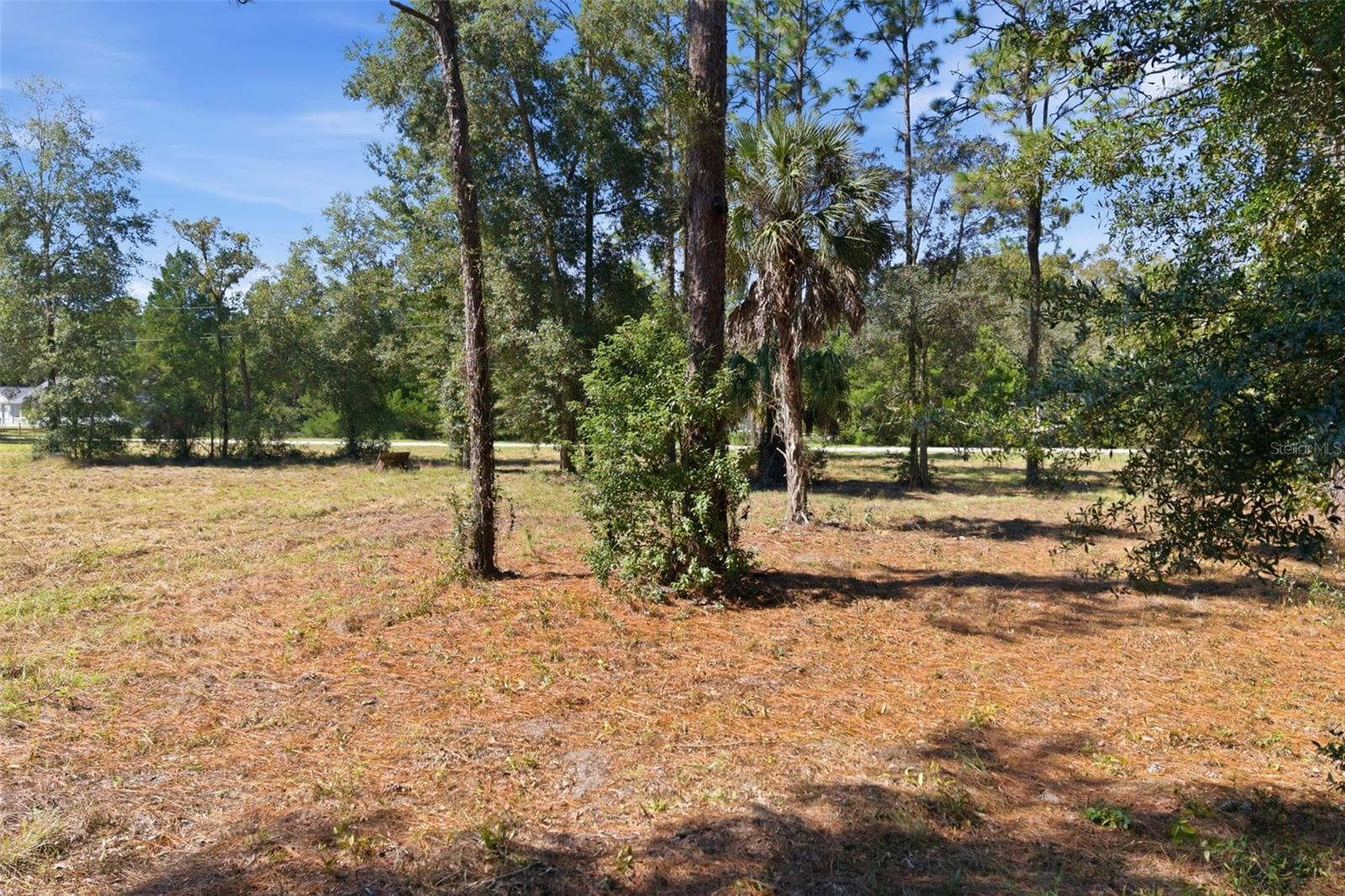 Land at 14356 HIGHGROVE RD, SPRING HILL, photo 35 of 48