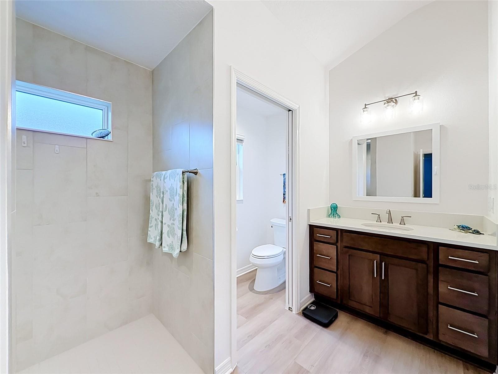 Single Family Residence at 4157 COLLERETTE CT, THE VILLAGES, photo 50 of 75