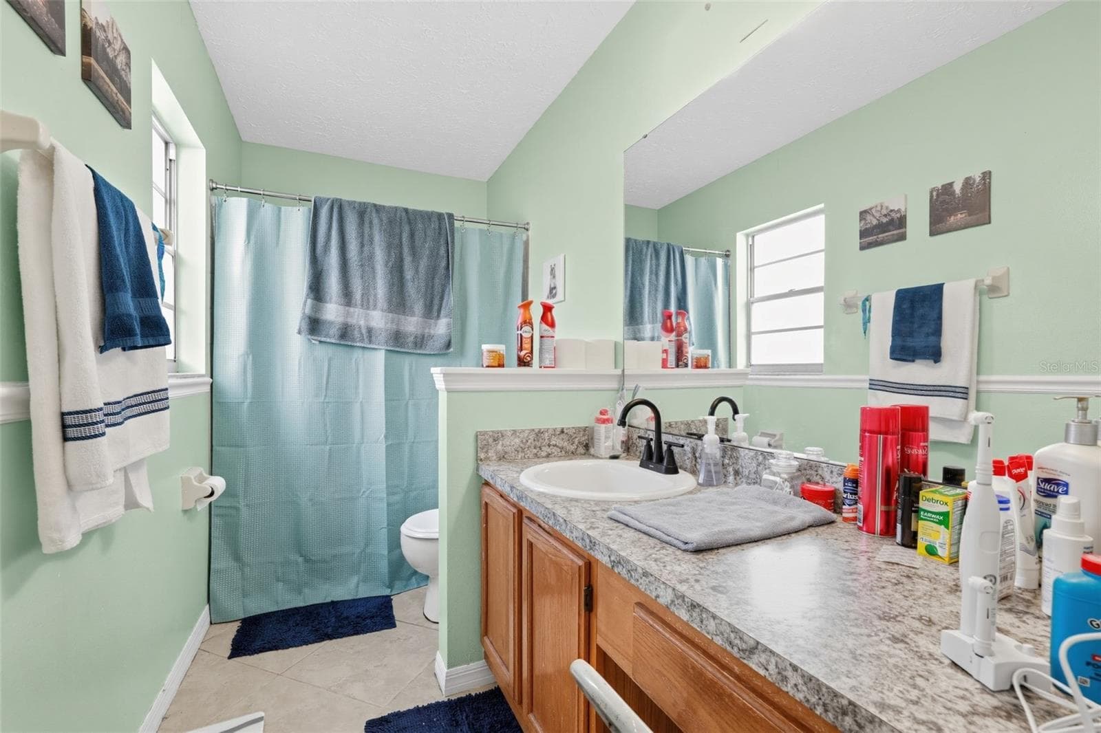 Single Family Residence at 1805 LAKEWIND DR, BRANDON, photo 28 of 32