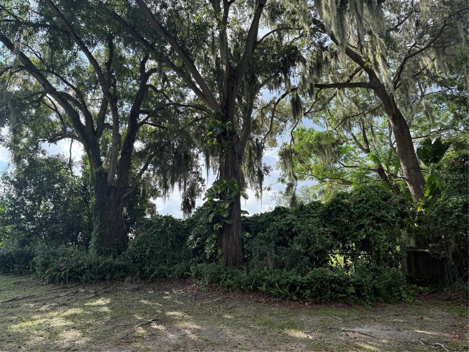 Single Family Residence at 1400 AVENUE D NE, WINTER HAVEN, photo 28 of 30