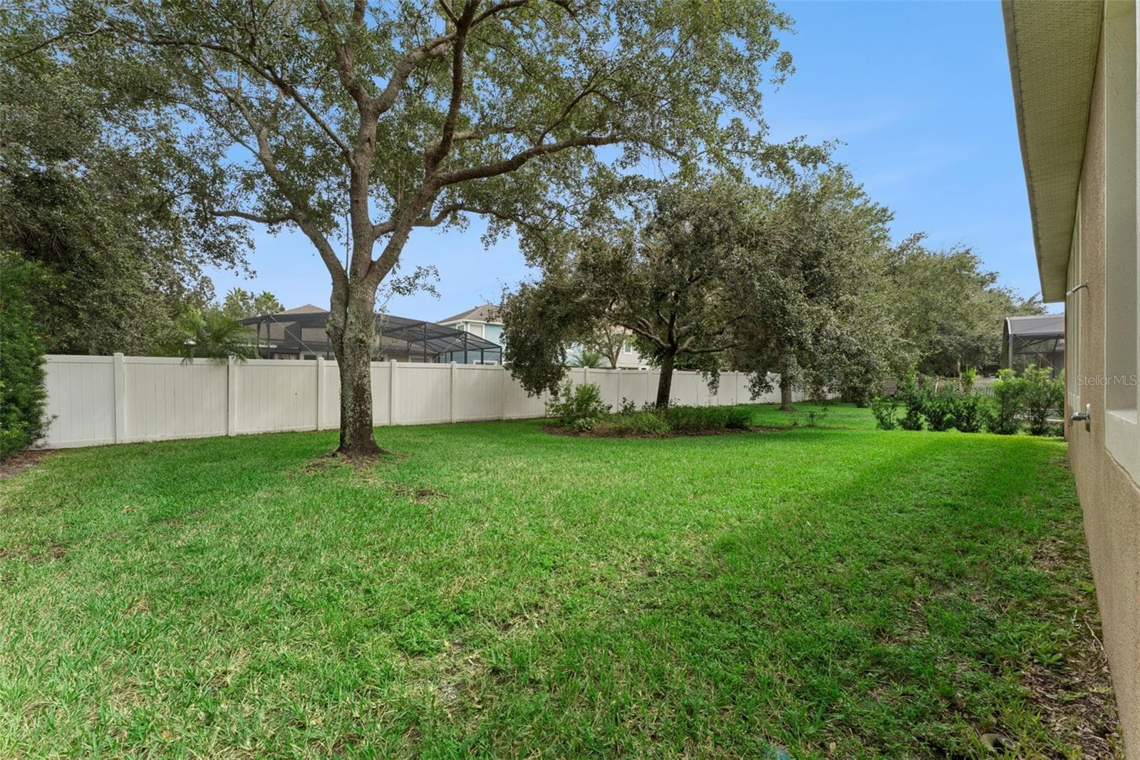 Backyard - 4827 FLINT RD, WINDERMERE