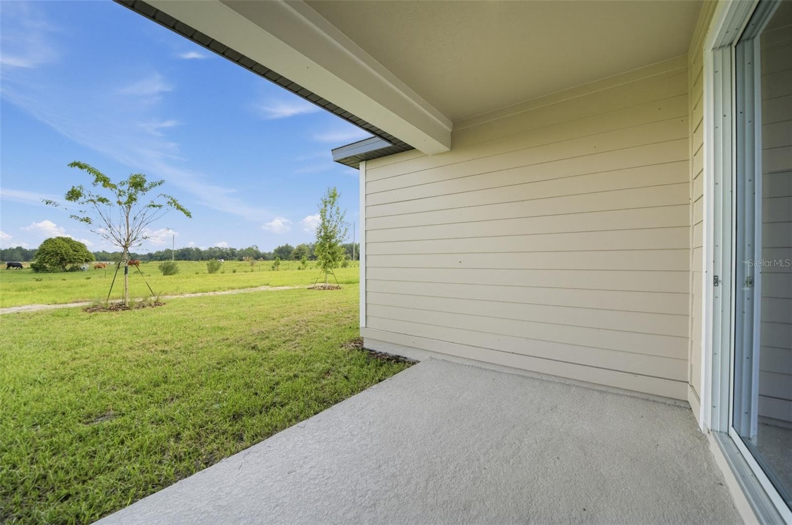 Single Family Residence at 30134 EMERALD FOREST DR, MOUNT DORA, photo 35 of 38
