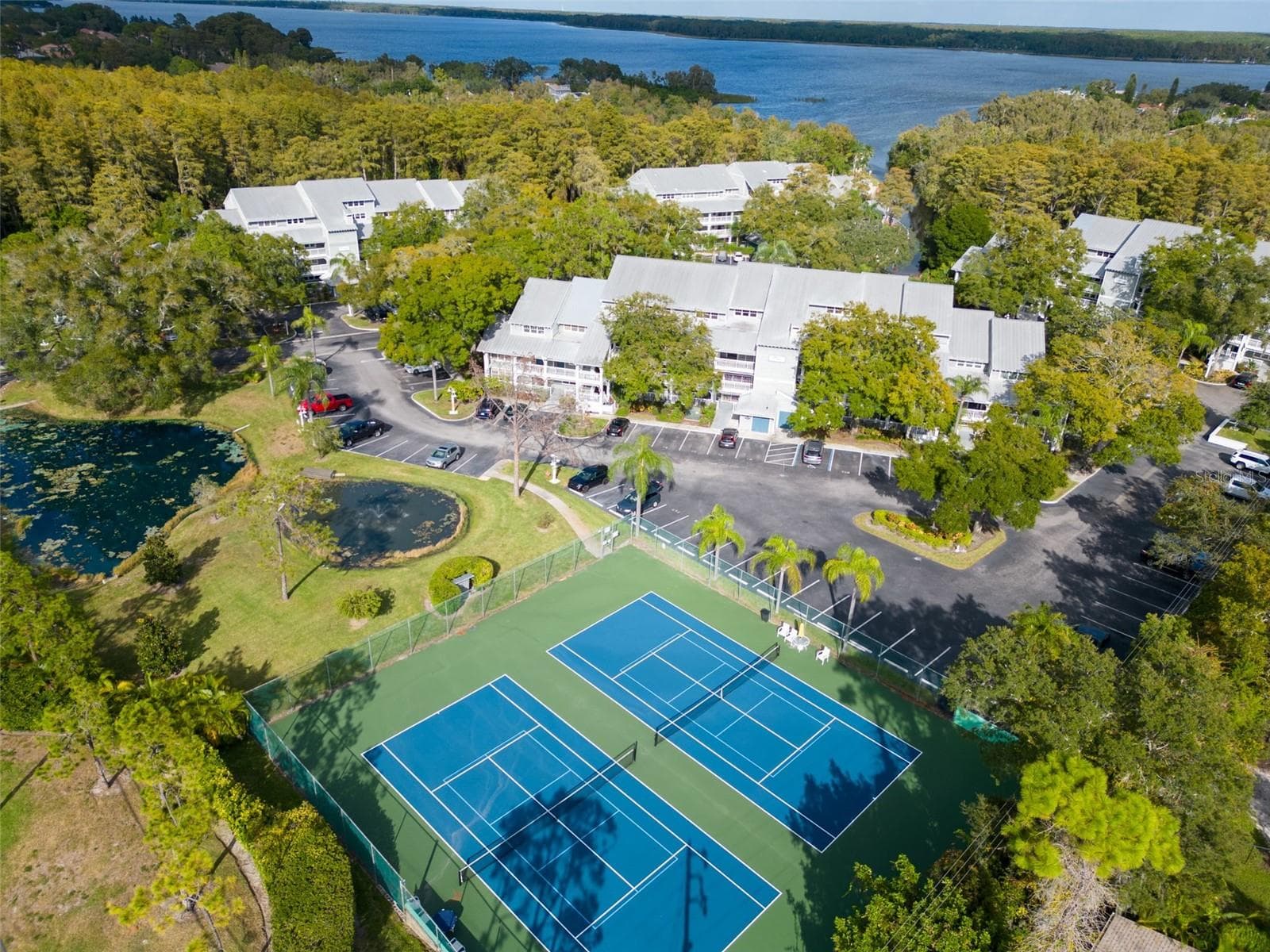 Tennis Courts/Pickleball - 2511 DOLLY BAY DR #104, PALM HARBOR