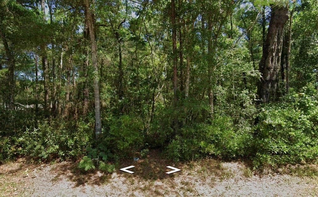 Land at 3403 E ROGERS ST, INVERNESS, photo 4 of 7