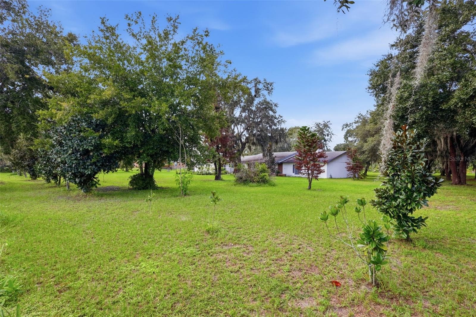 Land at 4151 BOGGY CREEK RD, KISSIMMEE, photo 12 of 20