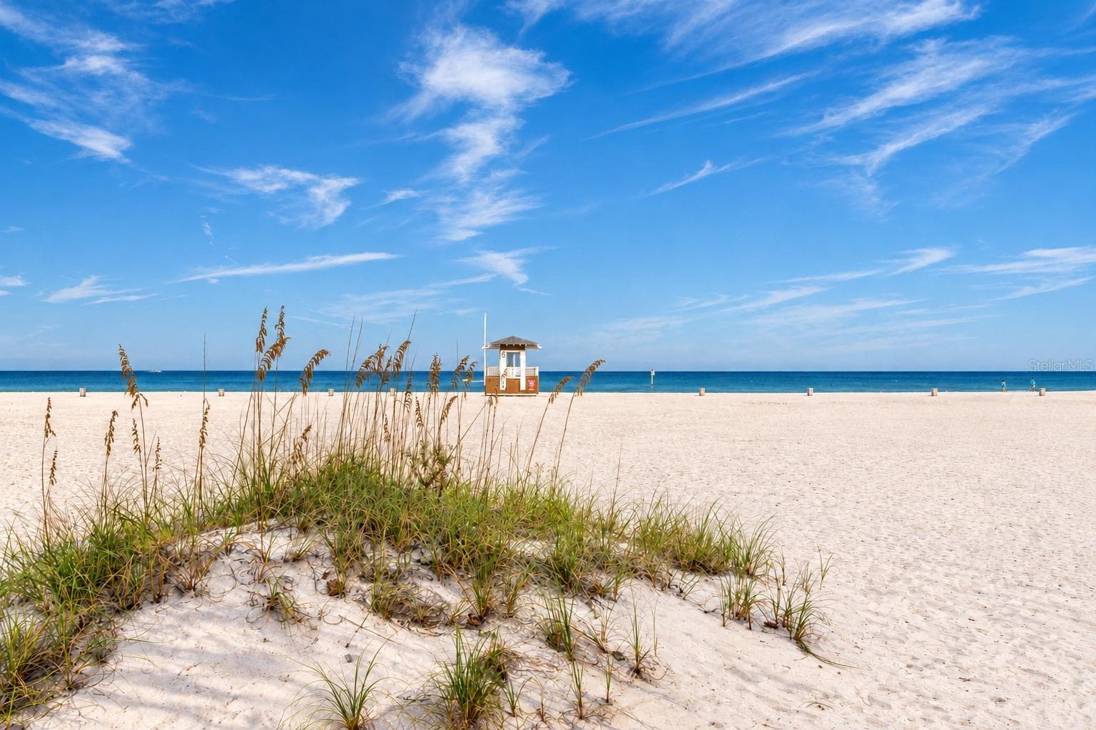 Condominium at 10 PAPAYA ST #1006, CLEARWATER, photo 41 of 47