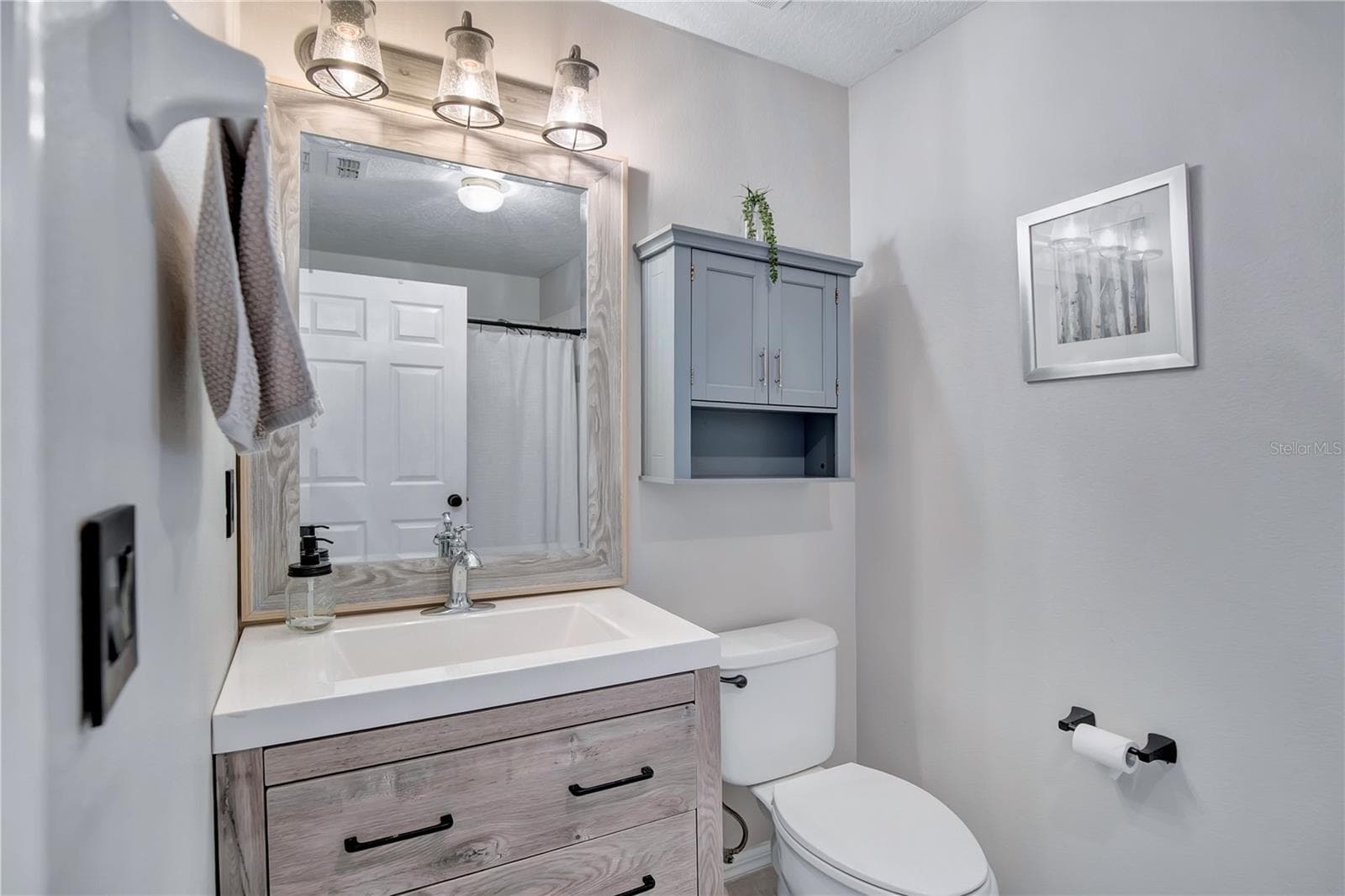 Single Family Residence at 389 LAKEPARK TRL, OVIEDO, photo 16 of 45