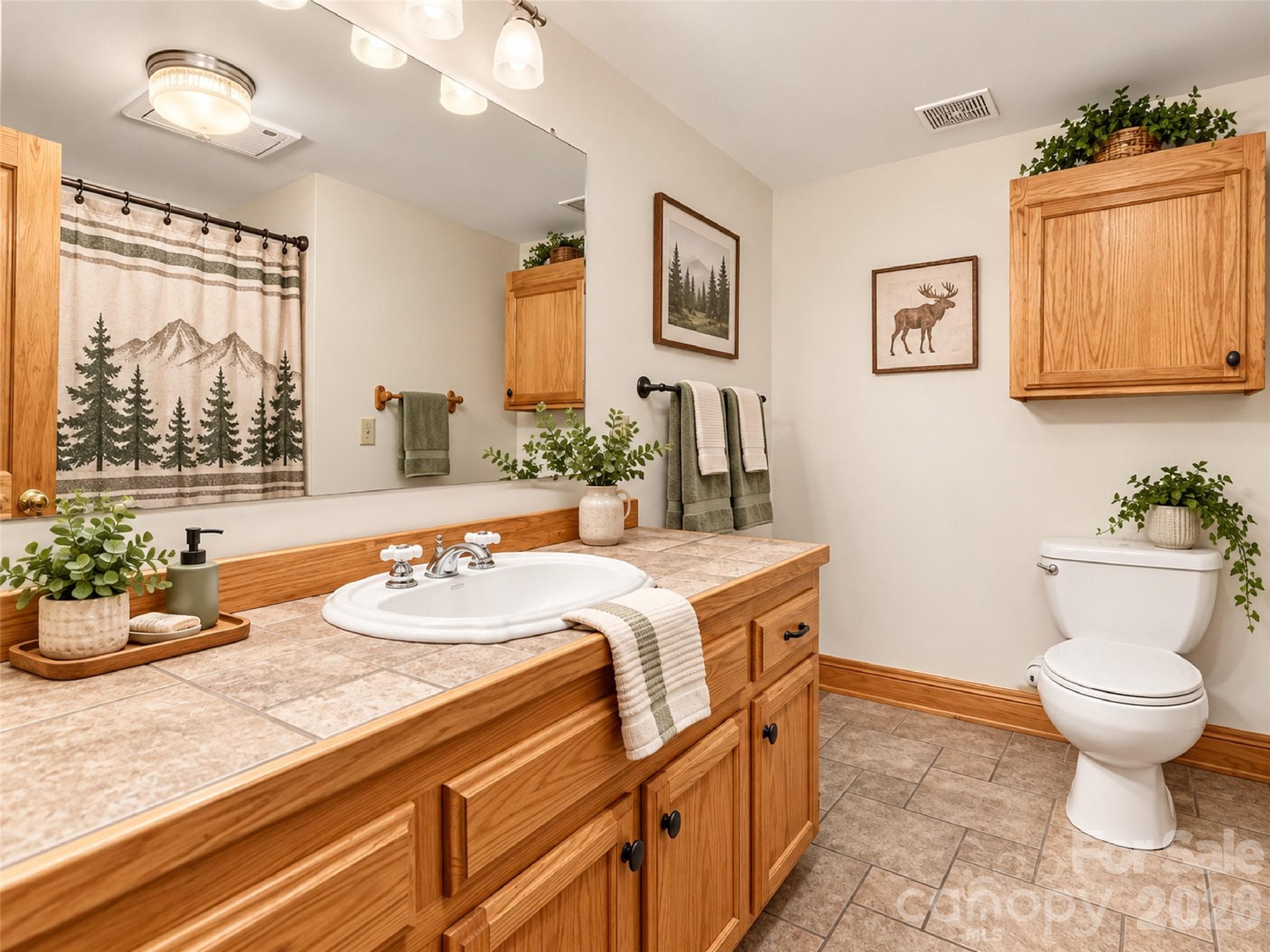 Single Family Residence at 505 Middle Top Loop, Maggie Valley, photo 29 of 47