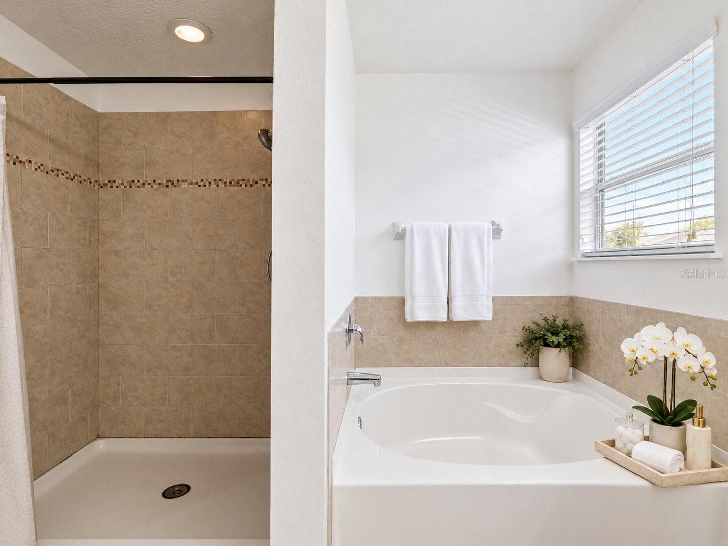 Single Family Residence at 36022 LAGUNA HILLS CIR, ZEPHYRHILLS, photo 24 of 27