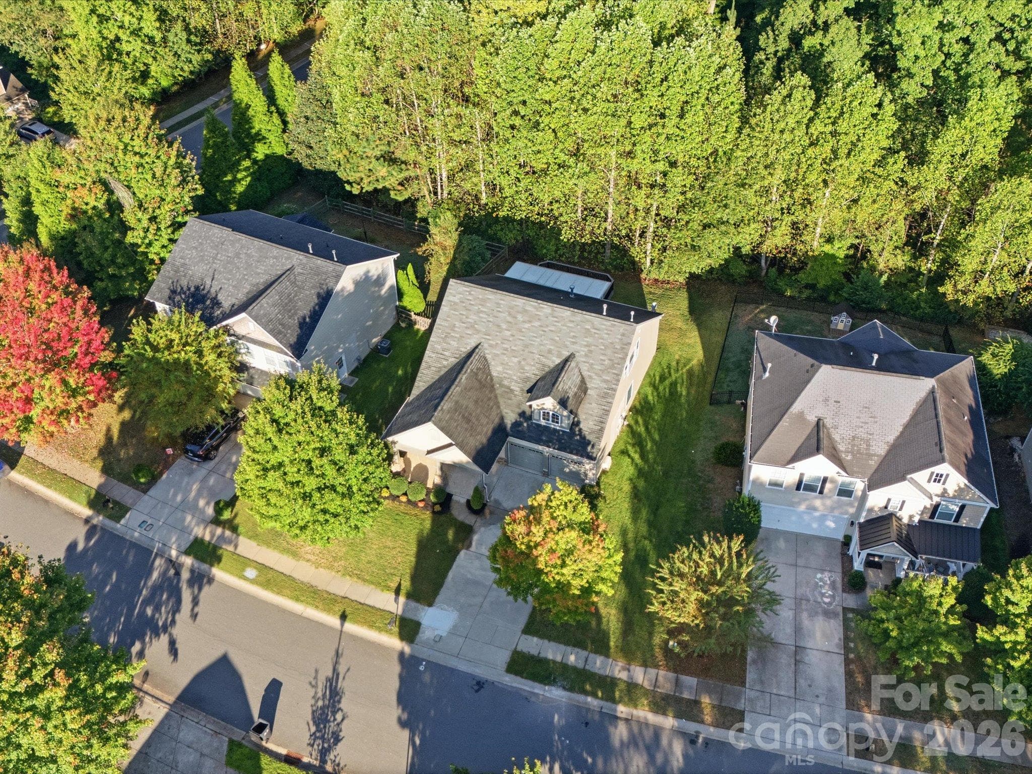 Ariel view home Is in the center. - 15110 Reminisce Lane, Charlotte