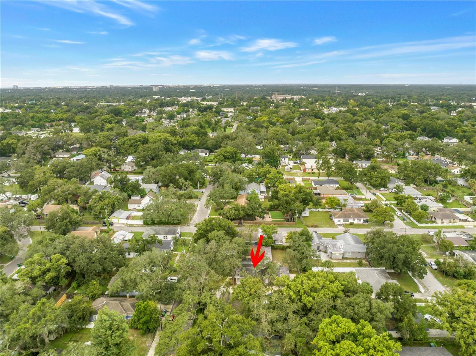 Single Family Residence at 1306 E NEW ORLEANS AVE, TAMPA, photo 36 of 46