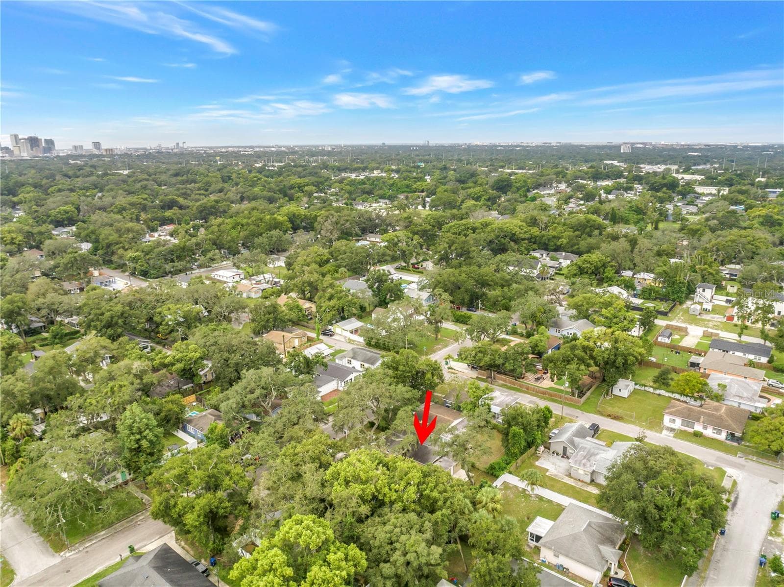 Single Family Residence at 1306 E NEW ORLEANS AVE, TAMPA, photo 37 of 46