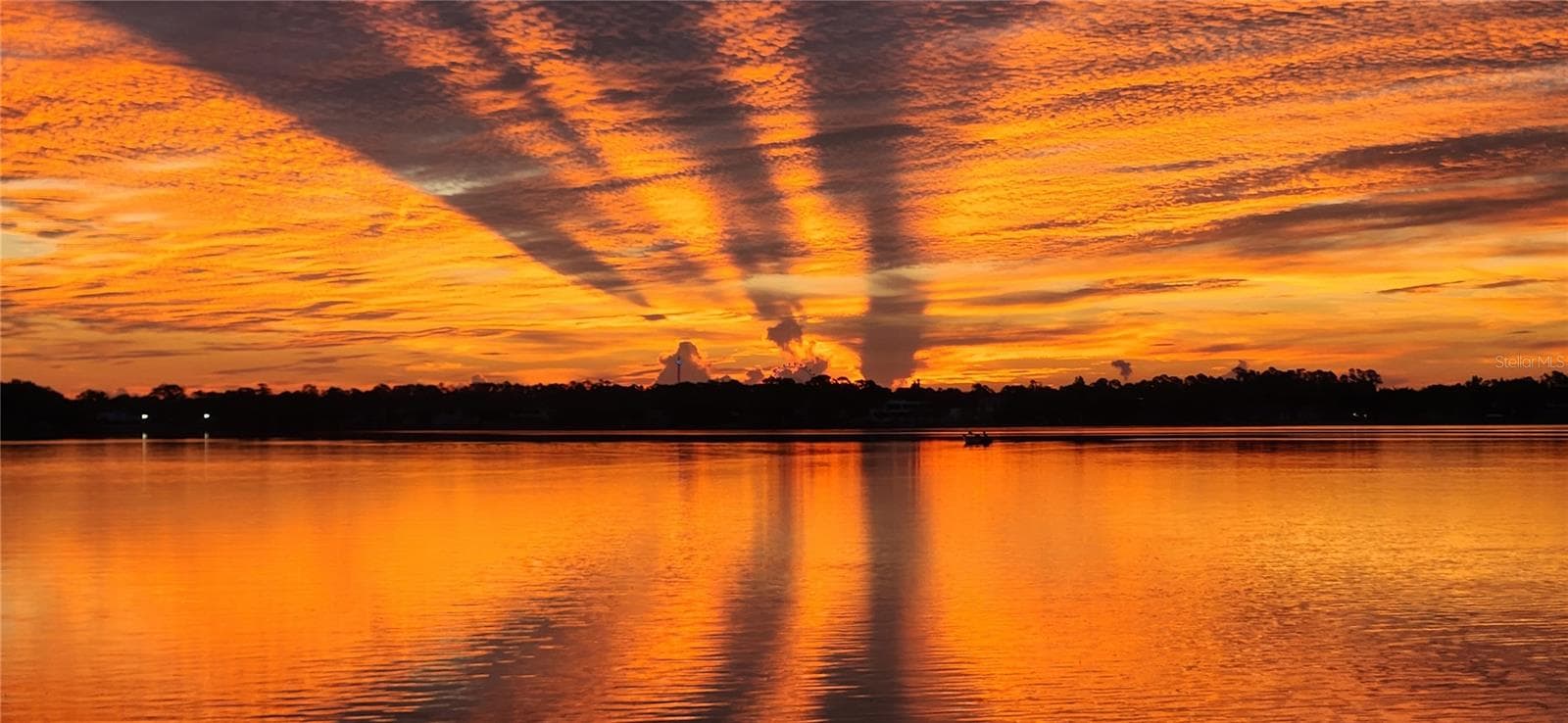View from property - 10430 LAKE COTTAGE LN, ORLANDO