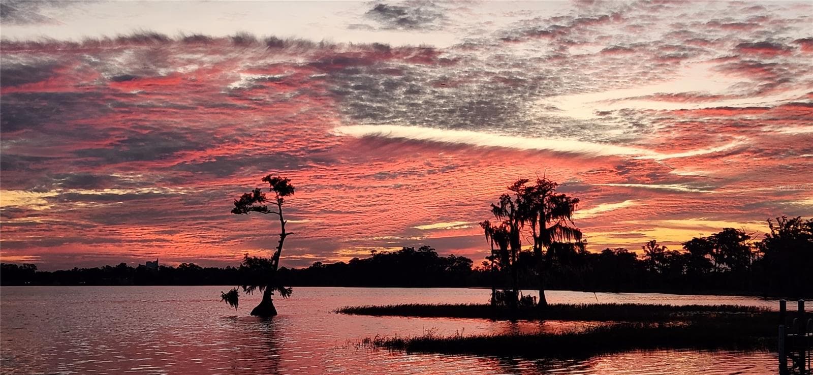 View from property - 10430 LAKE COTTAGE LN, ORLANDO