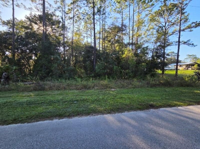 Land at SW 176TH AVE, DUNNELLON, photo 3 of 5