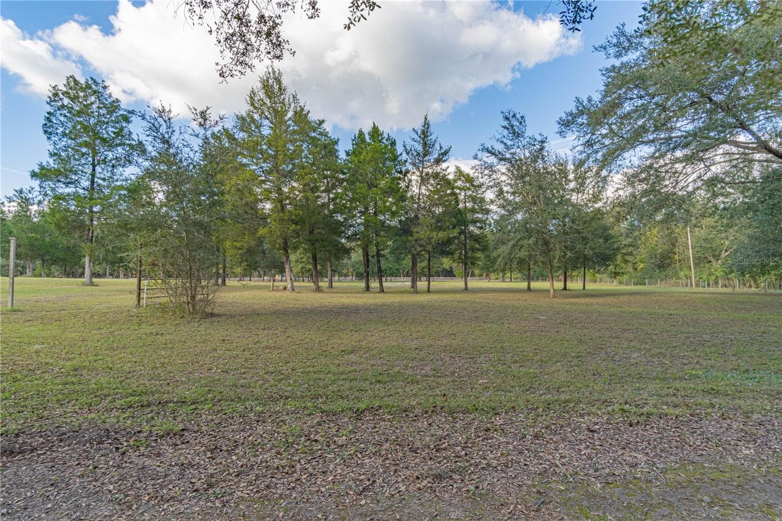 Over 7 Beautiful Acres. - 2557 CR 674A, BUSHNELL