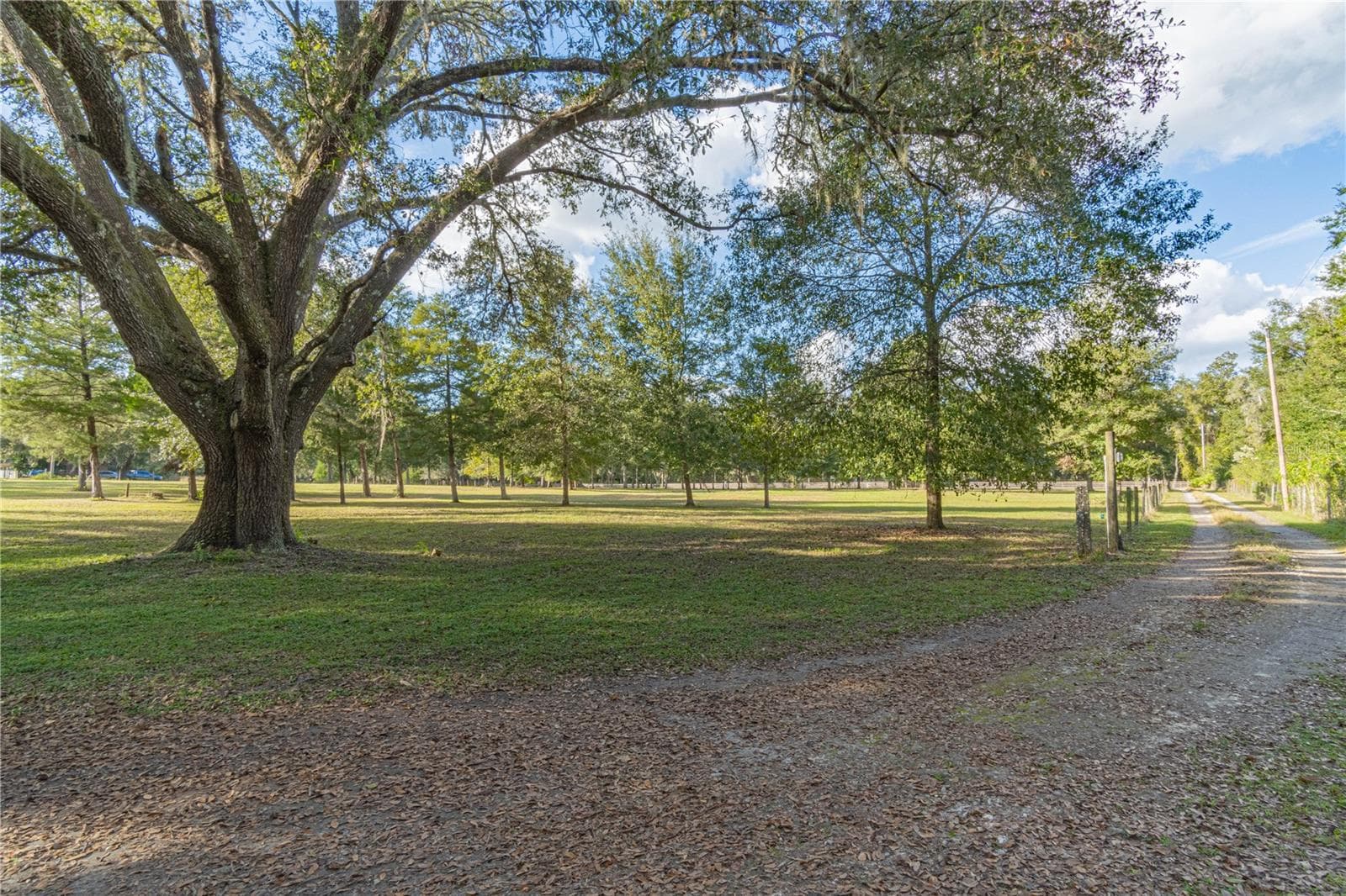 Gorgeous Oak Trees. - 2557 CR 674A, BUSHNELL