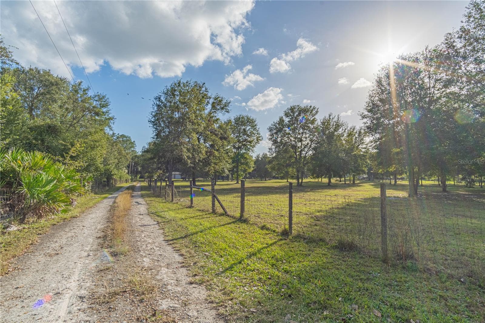 Entry Driveway. - 2557 CR 674A, BUSHNELL