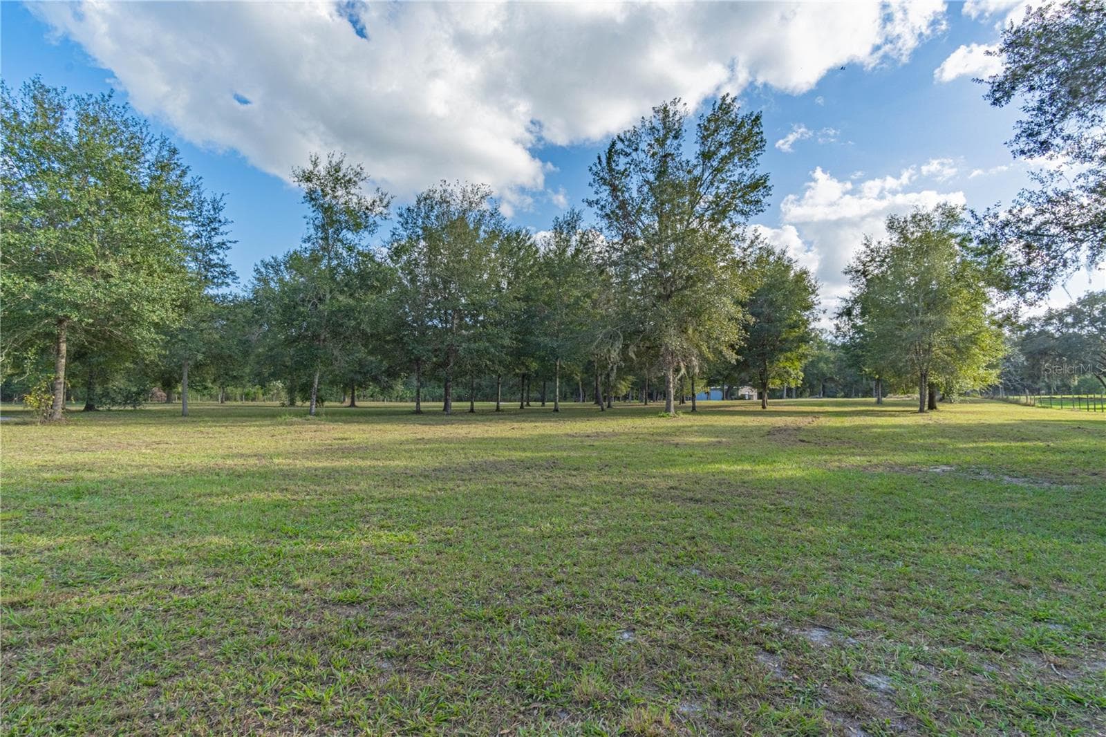 Mature Trees. - 2557 CR 674A, BUSHNELL