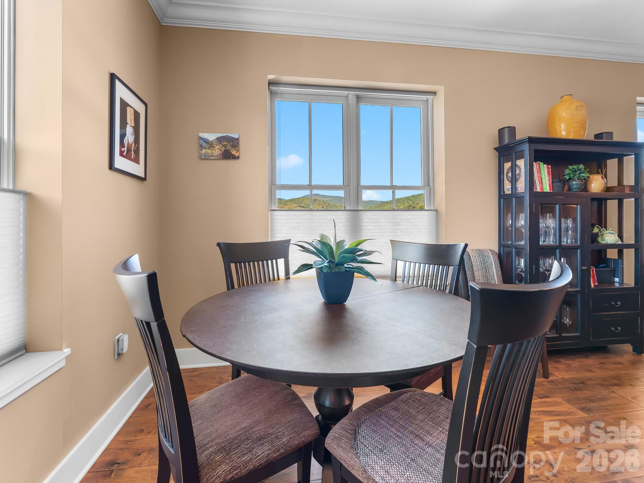 Condominium at 29 W French Broad Street, Brevard, photo 11 of 34