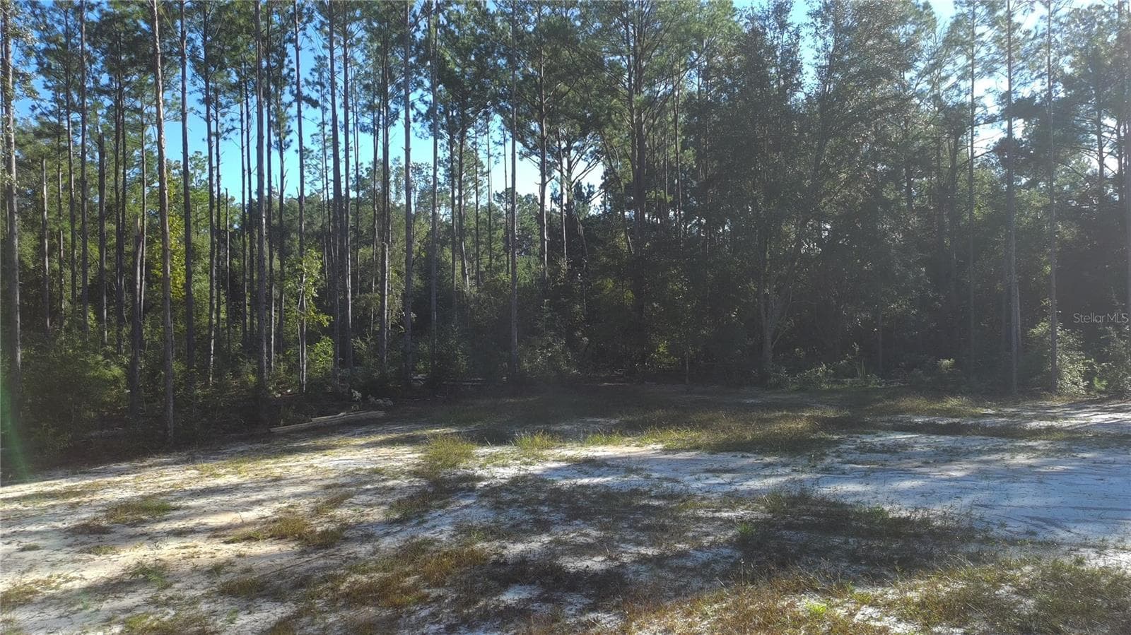 Land at S US HWY 441, HIGH SPRINGS, photo 12 of 17