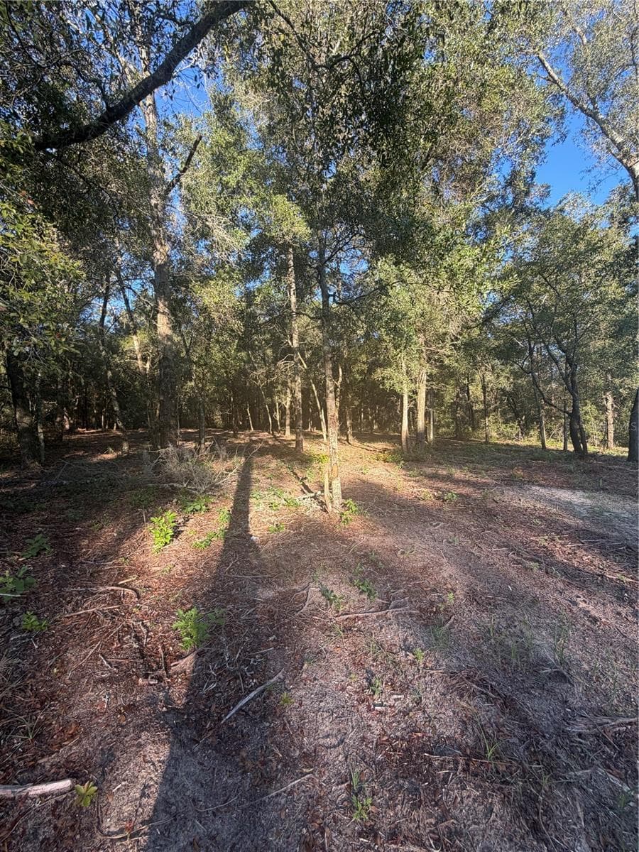 Land at 0 SW 150TH, OCALA, photo 14 of 16