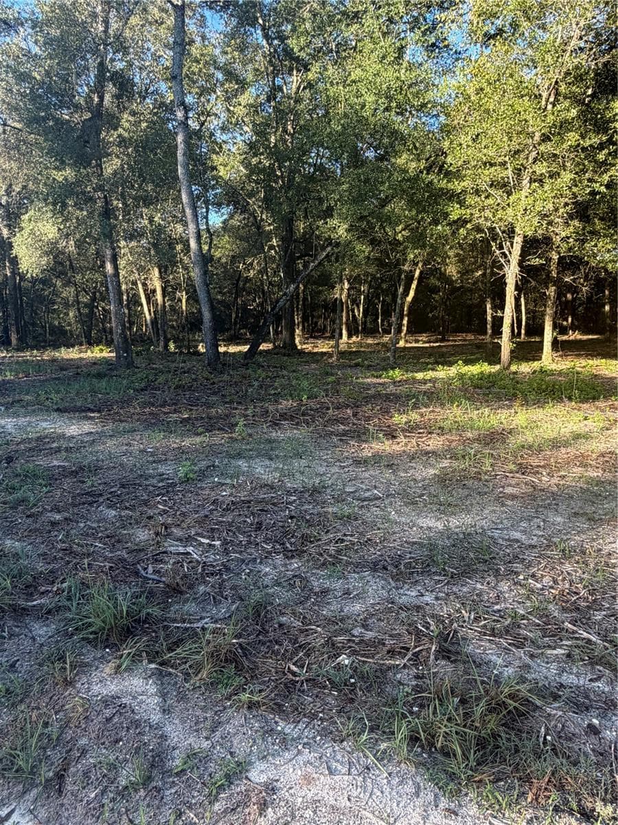 Land at 0 SW 150TH, OCALA, photo 2 of 16