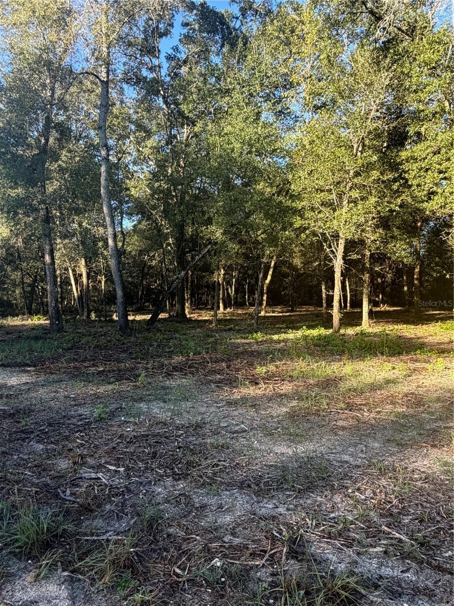 Land at 0 SW 150TH, OCALA, photo 12 of 16