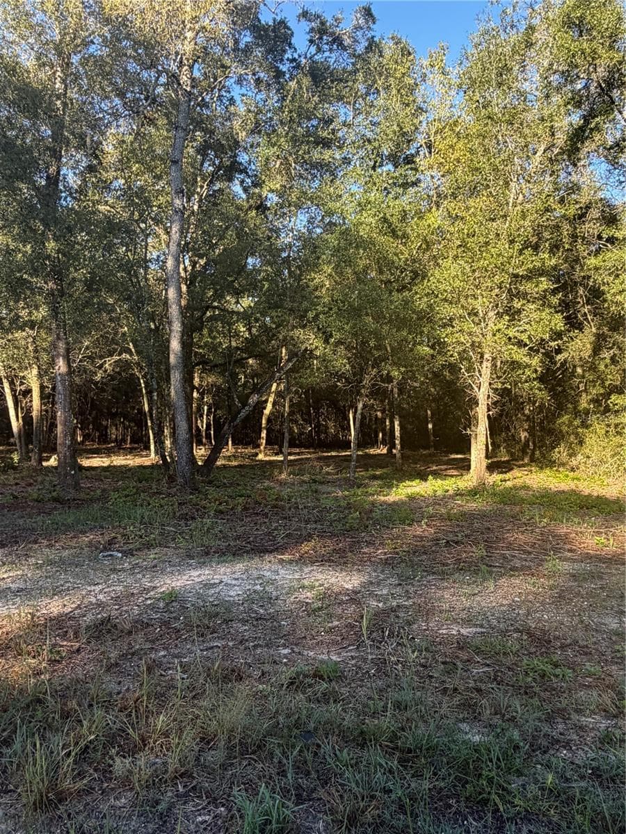 Land at 0 SW 150TH, OCALA, photo 7 of 16