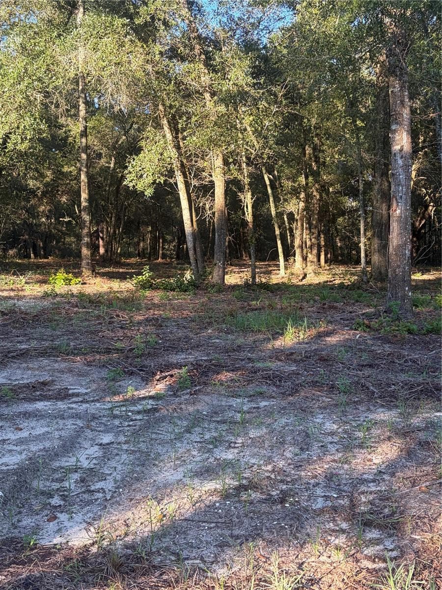 Land at 0 SW 150TH, OCALA, photo 10 of 16