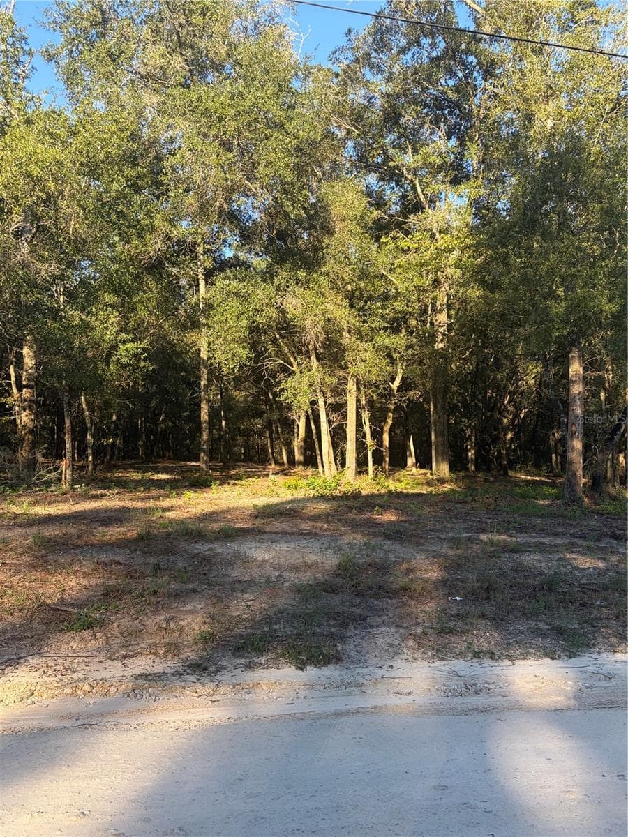 Land at 0 SW 150TH, OCALA, photo 15 of 16