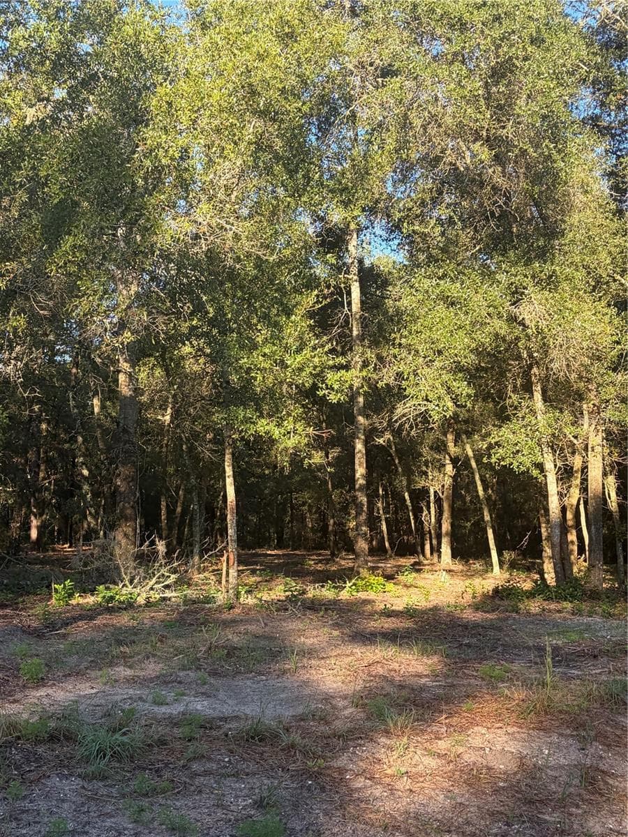 Land at 0 SW 150TH, OCALA, photo 16 of 16