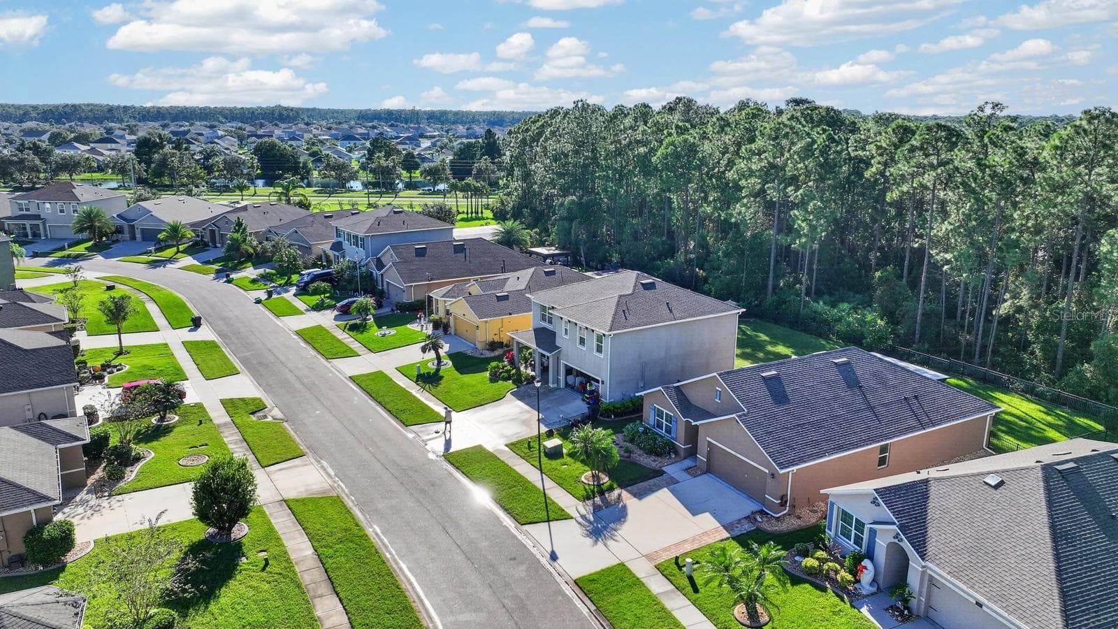 Single Family Residence at 1823 PALMETTO SCRUB CIR, PORT ORANGE, photo 49 of 59