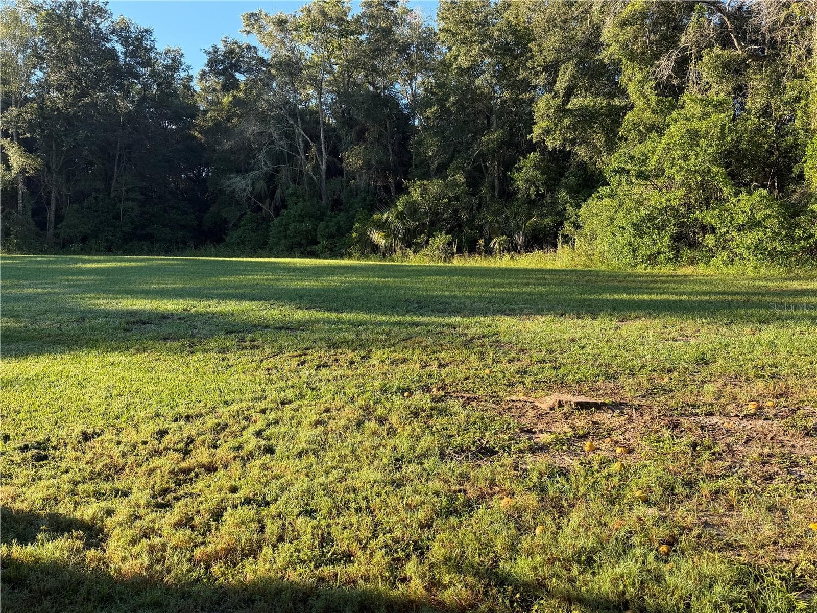 GREENBELT IN REAR - 2532 AMYRIS CT #601, ZELLWOOD