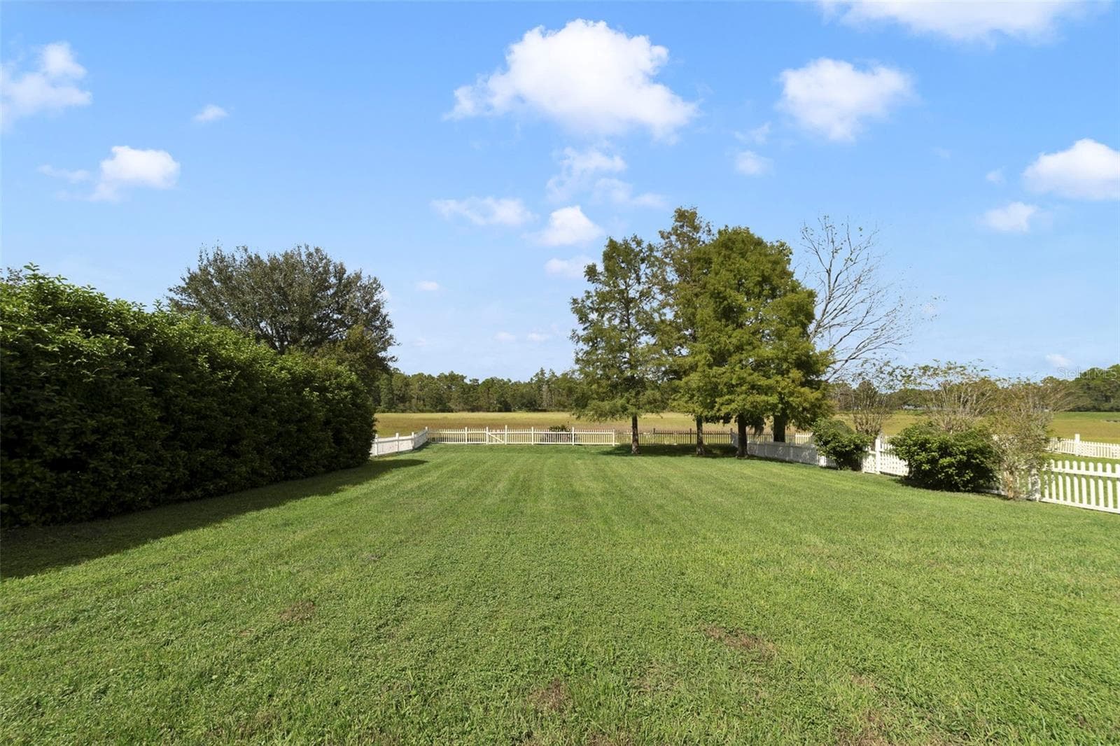 The spacious backyard is enclosed by a VINYL PICKET FENCE and backs to a CONSERVATION AREA providing a peaceful backdrop to enjoy the outdoors. - 1557 AMARYLLIS CIR, ORLANDO
