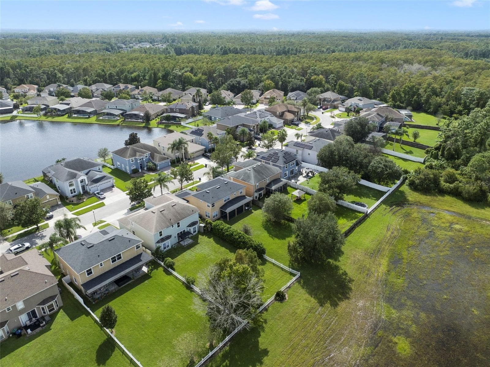 Aerial view of the back of the home and community. - 1557 AMARYLLIS CIR, ORLANDO